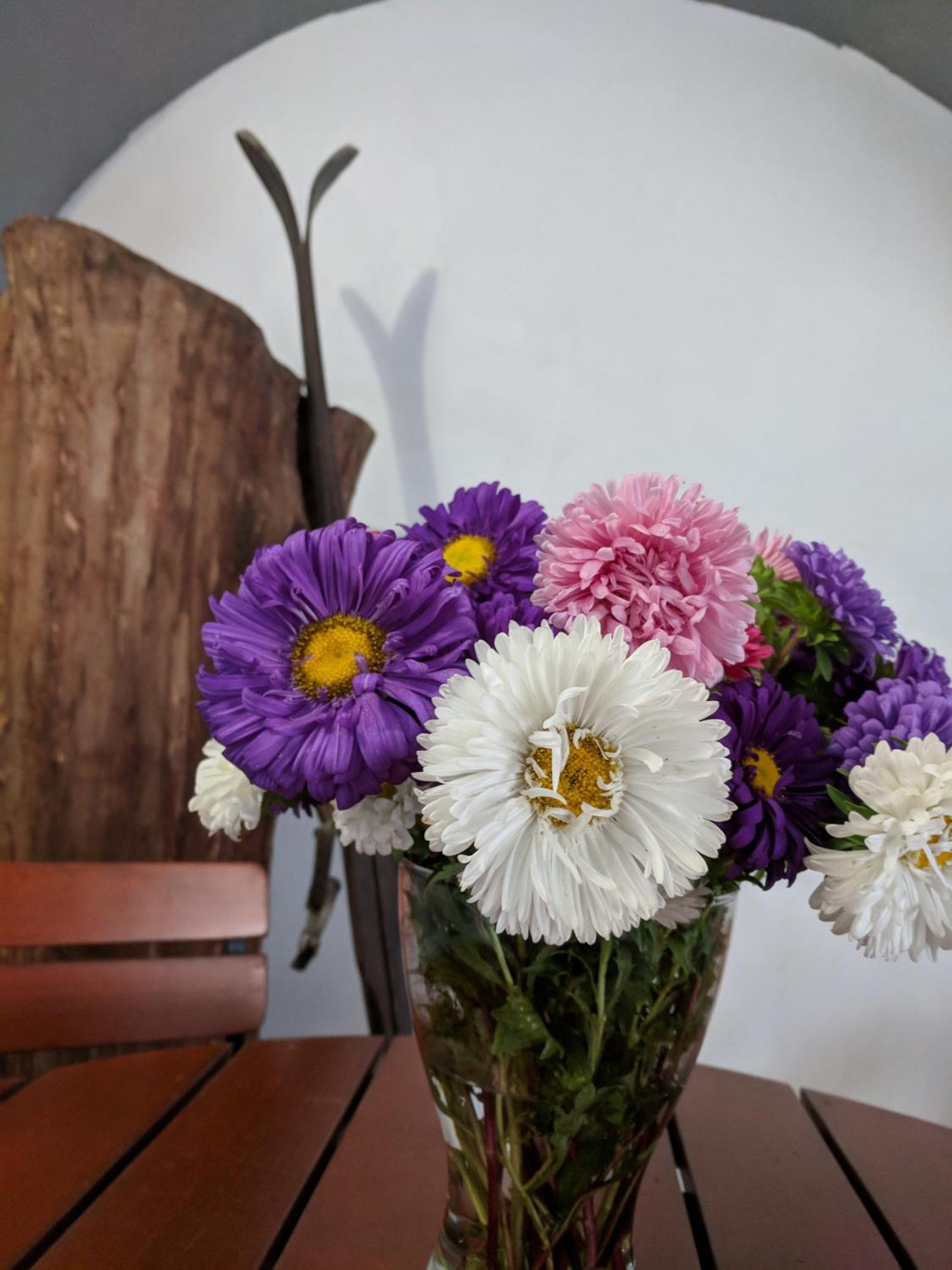 Guesthouse Postavarului Braszów Zewnętrze zdjęcie