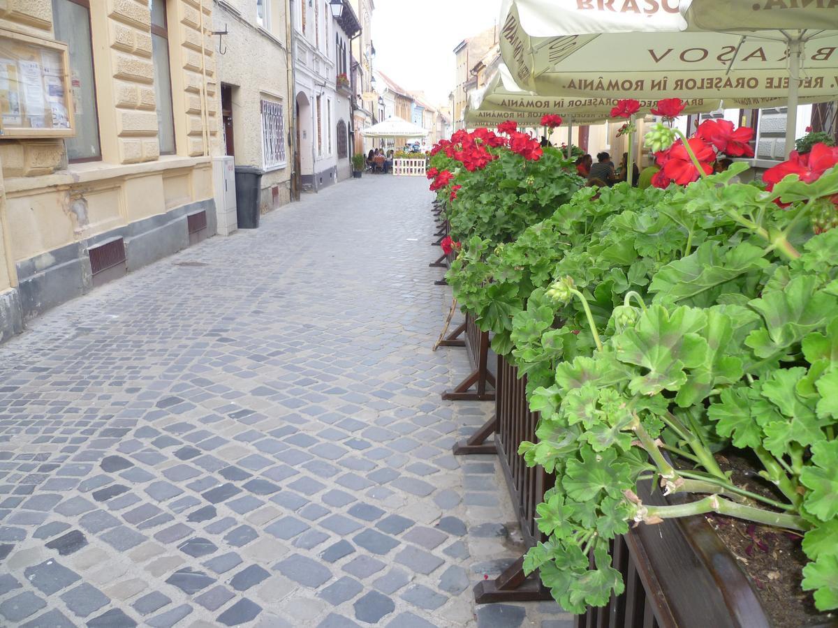 Guesthouse Postavarului Braszów Zewnętrze zdjęcie