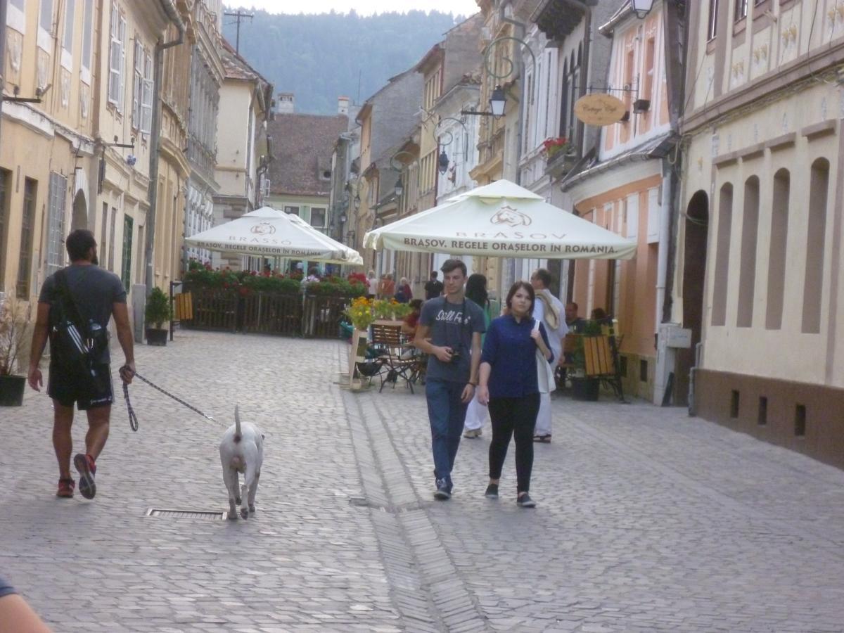 Guesthouse Postavarului Braszów Zewnętrze zdjęcie